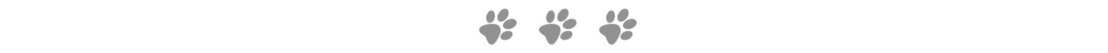 dog paws
